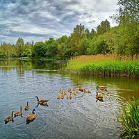 Buy canvas prints of Walton Colliery Nature Park by Darren Galpin