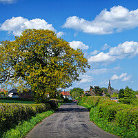 Buy canvas prints of Lane to Clay Cross by Darren Galpin