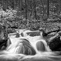 Buy canvas prints of Wyming Brook in Mono by Darren Galpin