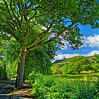 Buy canvas prints of Bamford Countryside by Darren Galpin