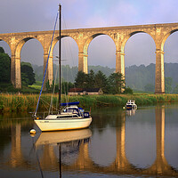 Buy canvas prints of Calstock Viaduct & River Tamar by Darren Galpin