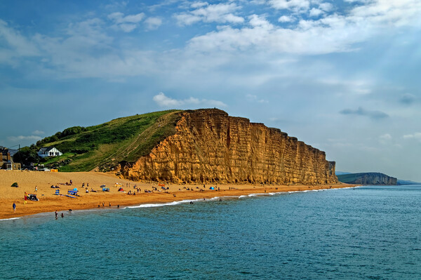 Sunny Day at West Bay Picture Board by Darren Galpin
