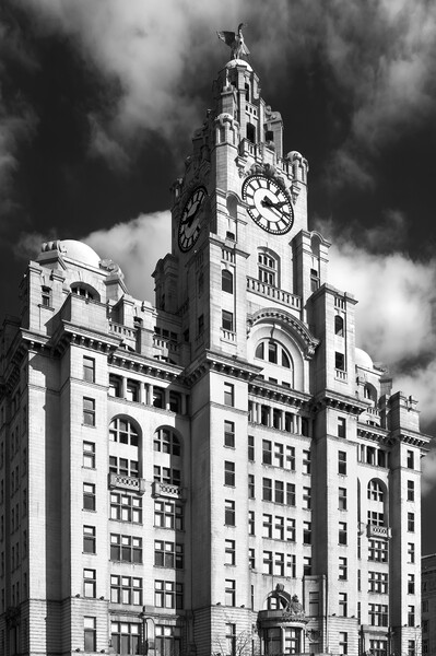 Royal Liver Building Picture Board by Darren Galpin