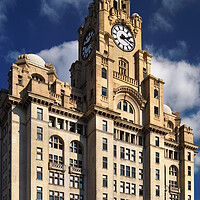 Buy canvas prints of Royal Liver Building by Darren Galpin