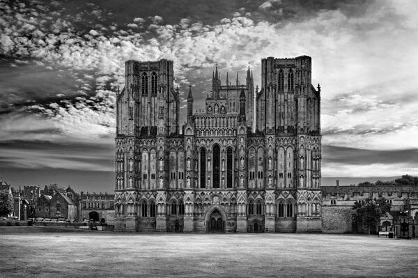Wells Cathedral Somerset Picture Board by Darren Galpin