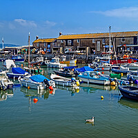 Buy canvas prints of Lyme Regis Harbour  by Darren Galpin