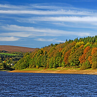 Buy canvas prints of Damflask Autumn Colours by Darren Galpin