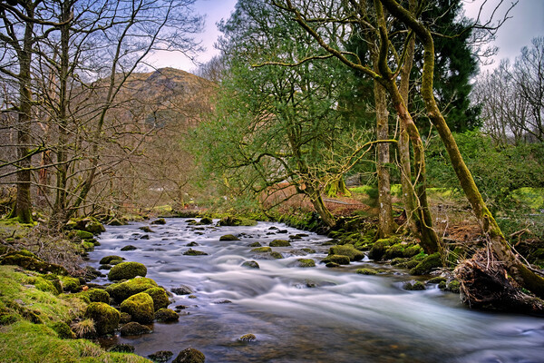 River Rothay  Picture Board by Darren Galpin