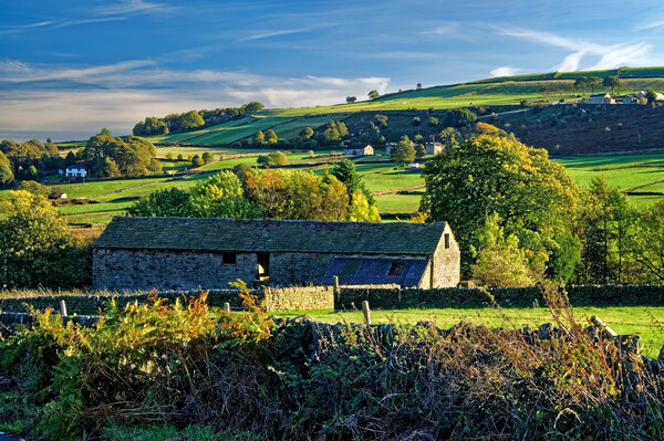 Countryside near Bradfield Picture Board by Darren Galpin