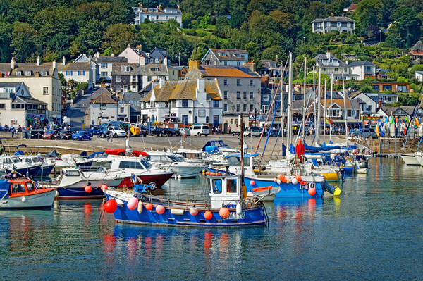 Lyme Regis Harbour & Cobb Arms Picture Board by Darren Galpin