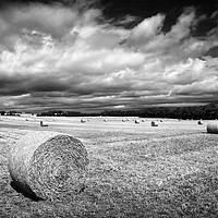 Buy canvas prints of  Hay Bales in South Yorkshire       by Darren Galpin