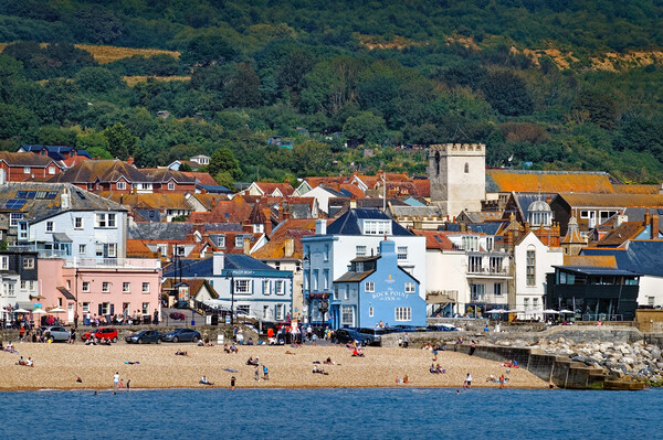 Lyme Regis Town and Beach  Picture Board by Darren Galpin