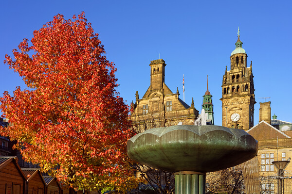 Sheffield Town Hall in Autumn Picture Board by Darren Galpin