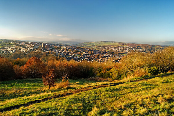 The Bole Hills View, Crookes, Sheffield Picture Board by Darren Galpin