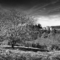 Buy canvas prints of  Dunster Castle by Darren Galpin