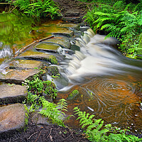 Buy canvas prints of Third Coppice Stepping Stones, Rivelin   by Darren Galpin