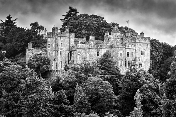Dunster Castle   Picture Board by Darren Galpin