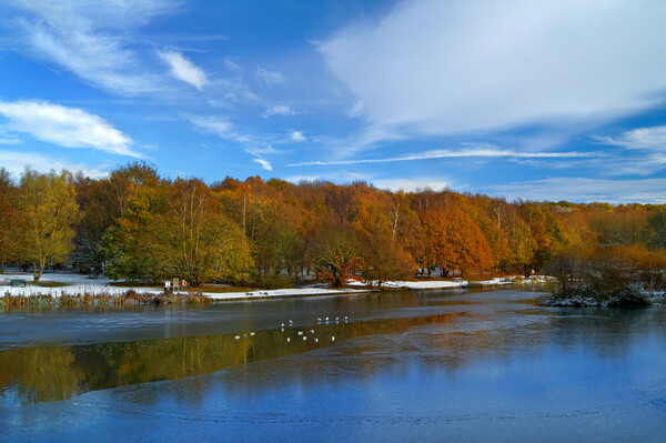 Dearne Valley Country Park in Autumn Picture Board by Darren Galpin