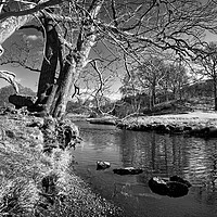Buy canvas prints of Banks of the River Brathay   by Darren Galpin