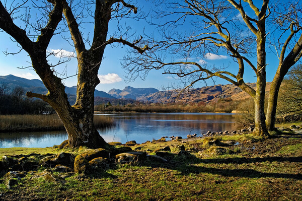 Elter Water Lake District Cumbria  Picture Board by Darren Galpin