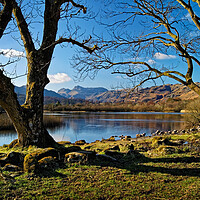 Buy canvas prints of Elter Water Lake District Cumbria  by Darren Galpin