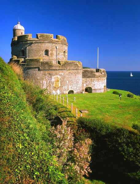 St Mawes Castle Picture Board by Darren Galpin