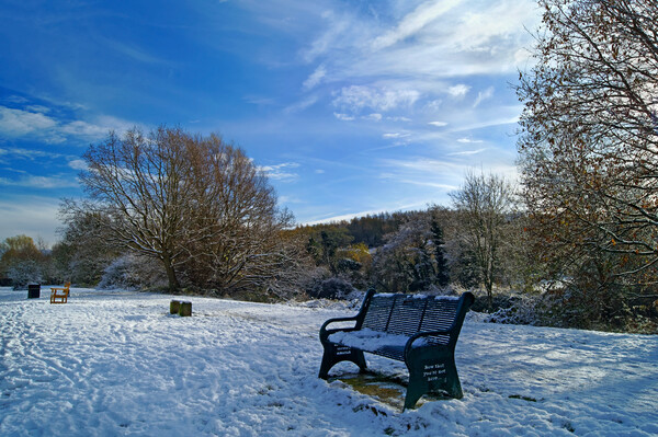 Dearne Valley Park in Winter Picture Board by Darren Galpin