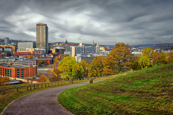 Sheffield Skyline in Autumn Picture Board by Darren Galpin