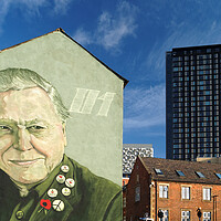 Buy canvas prints of David Attenborough Mural, Sheffield by Darren Galpin
