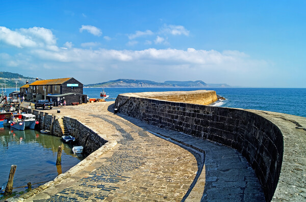 The Cobb, Lyme Regis    Picture Board by Darren Galpin