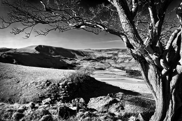 Mam Tor from above Cave Dale Picture Board by Darren Galpin