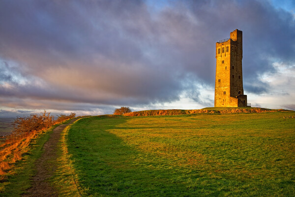 Victoria Tower, Castle Hill  Picture Board by Darren Galpin