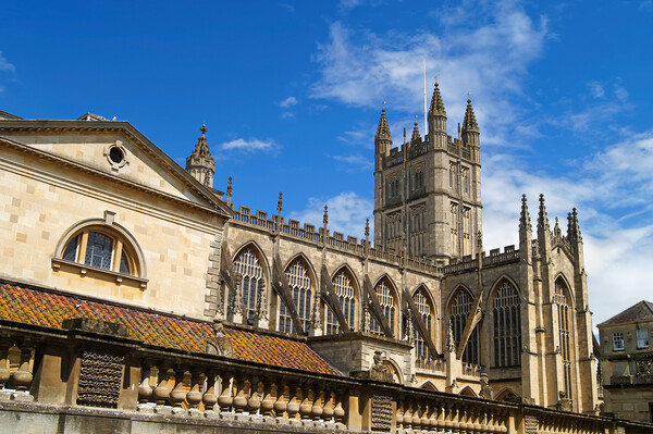 Bath Abbey and Roman Baths Somerset Picture Board by Darren Galpin