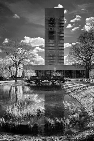 University Arts Tower & Weston Park Pond Picture Board by Darren Galpin