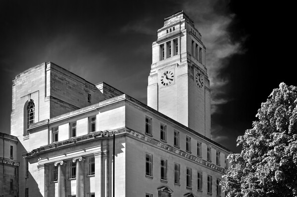 Parkinson Building, Leeds University  Picture Board by Darren Galpin