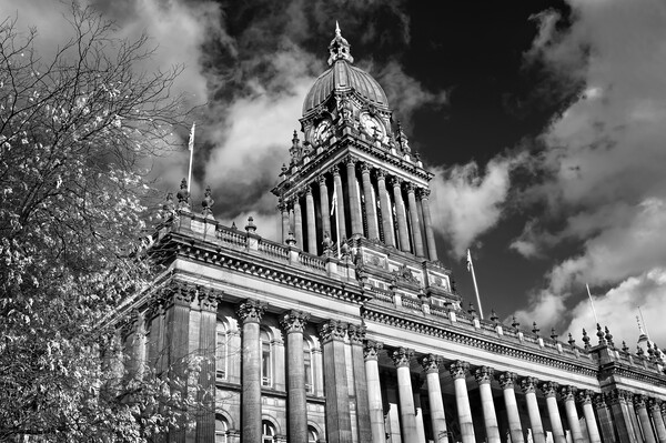 Leeds Town Hall  Picture Board by Darren Galpin