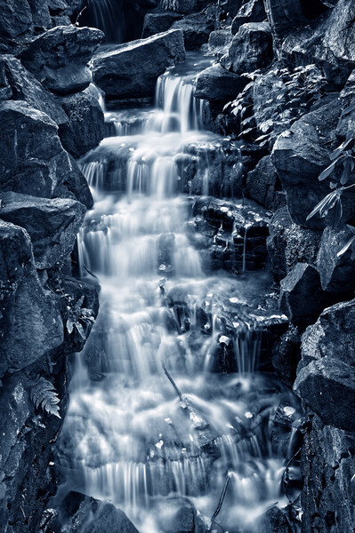 Endcliffe Park Waterfall Picture Board by Darren Galpin