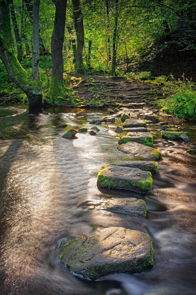 Rivelin Stepping Stones Picture Board by Darren Galpin