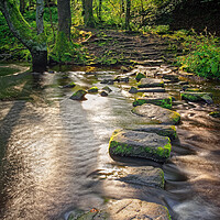 Buy canvas prints of Rivelin Stepping Stones by Darren Galpin