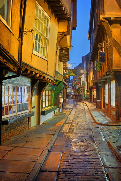 The Shambles York at Night Picture Board by Darren Galpin