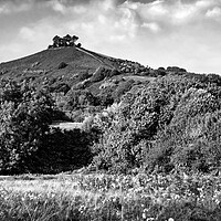 Buy canvas prints of Colmers Hill by Darren Galpin