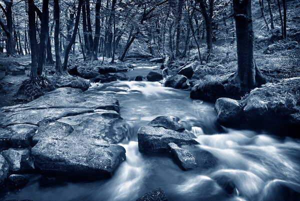 Golitha Falls Picture Board by Darren Galpin