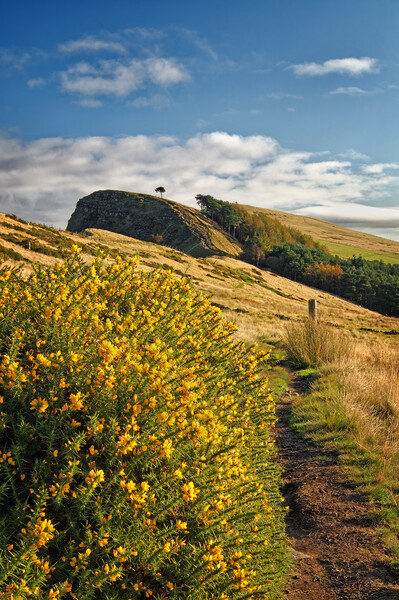 Footpath to Back Tor Derbyshire Peak District  Picture Board by Darren Galpin