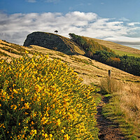 Buy canvas prints of Footpath to Back Tor Derbyshire Peak District  by Darren Galpin