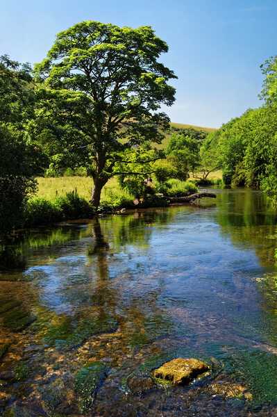 River Wye near Monsal Dale  Picture Board by Darren Galpin