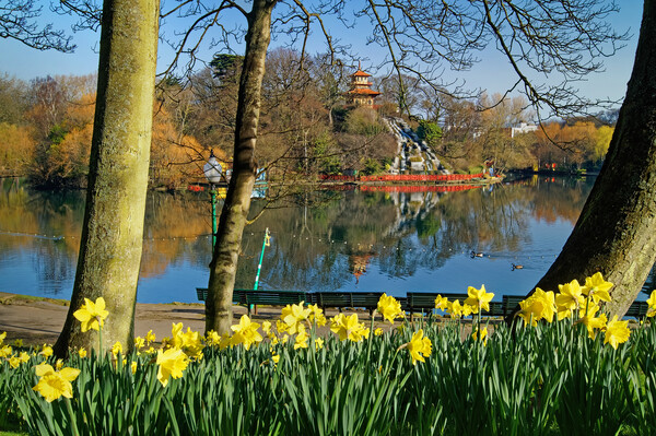Peasholm Park,  Scarborough in Spring  Picture Board by Darren Galpin