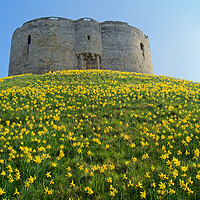 Buy canvas prints of Cliffords Tower, York in Spring by Darren Galpin