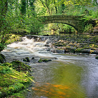 Buy canvas prints of Rivelin Packhorse Bridge & Weir  by Darren Galpin