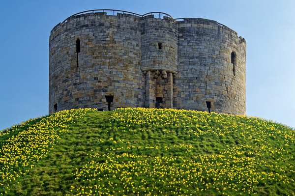 Cliffords Tower, York in Spring Picture Board by Darren Galpin