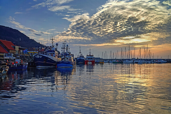 Scarborough Harbour Sunrise North Yorkshire  Picture Board by Darren Galpin